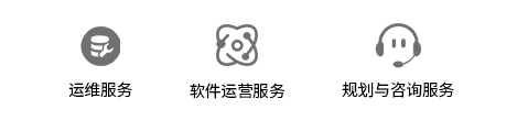  IT運維服務(圖2)