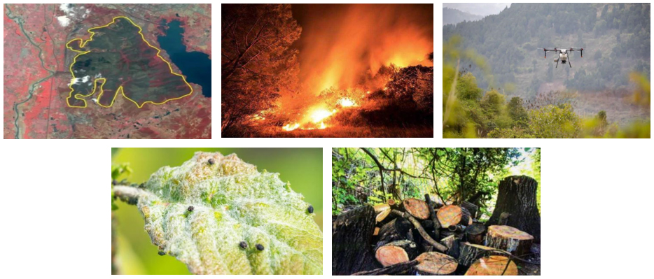 智慧森林一體化防控平臺(圖2)